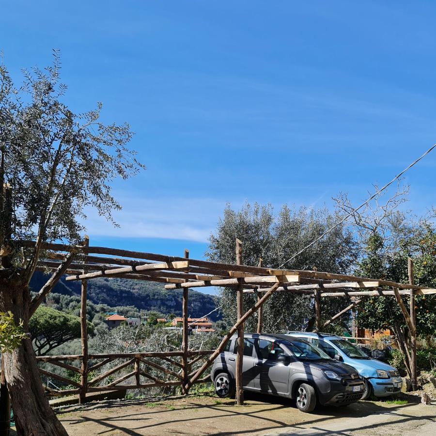 Casa Betania Da Peppe Villa Соренто Екстериор снимка