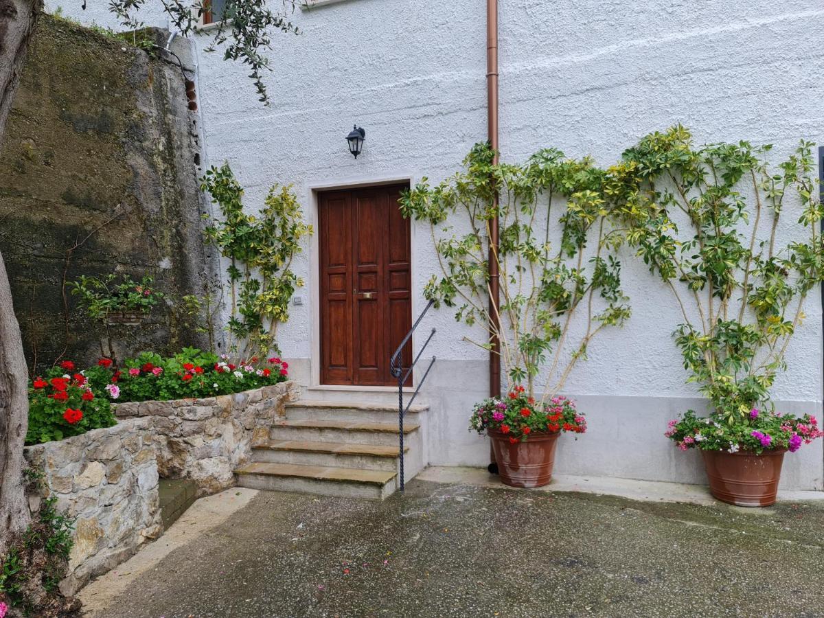 Casa Betania Da Peppe Villa Соренто Екстериор снимка