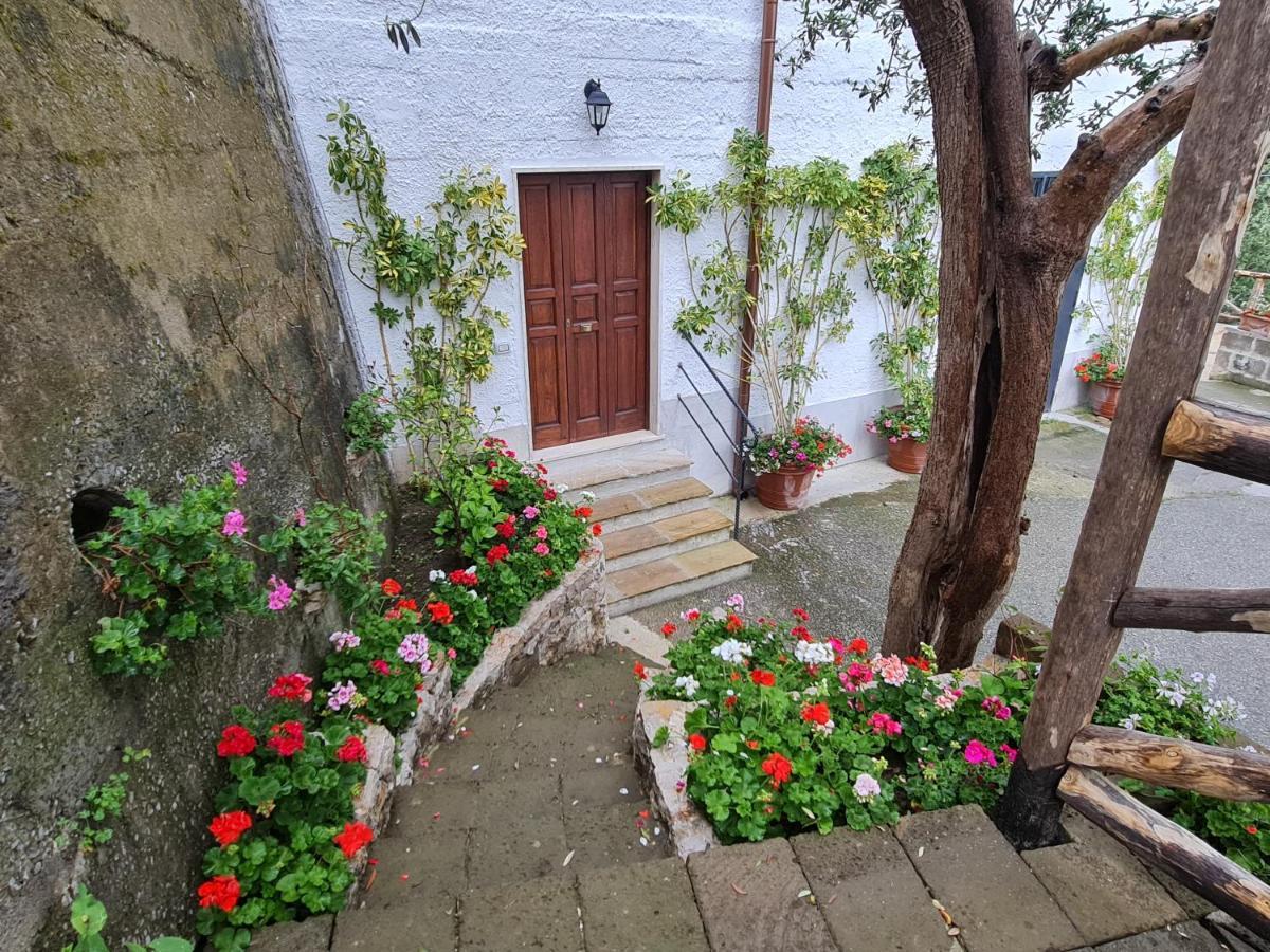 Casa Betania Da Peppe Villa Соренто Екстериор снимка